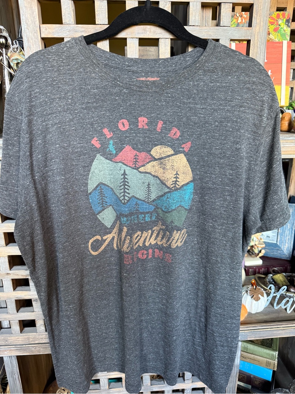 Gray Graphic T-Shirt - FLORIDA WHERE ADVENTURE BEGINS